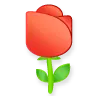 :rose: